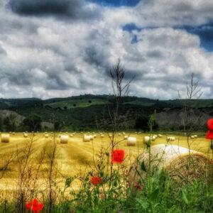 val d'agri