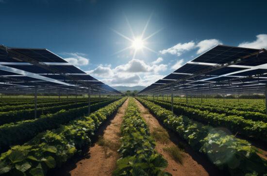 decreto agrivoltaico