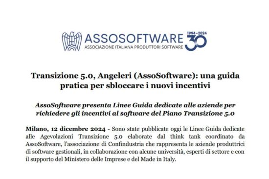 linee guida assosoftware